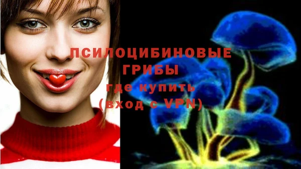 спиды Верея